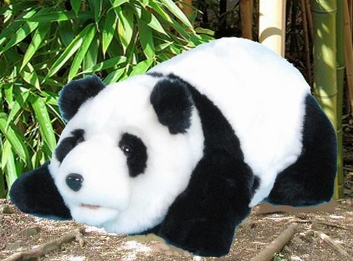 PANDA PUPPETS (SMALL -18 inches ) (image for) PANDA PUPPETS (SMALL -18 inches )